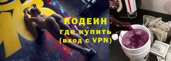 гашик Козловка