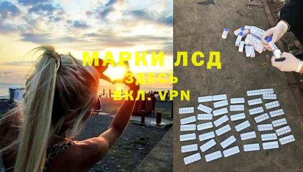 гашик Козловка