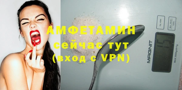 гашик Козловка