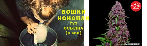 гашик Козловка
