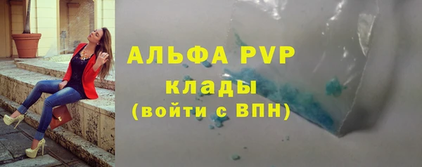 гашик Козловка