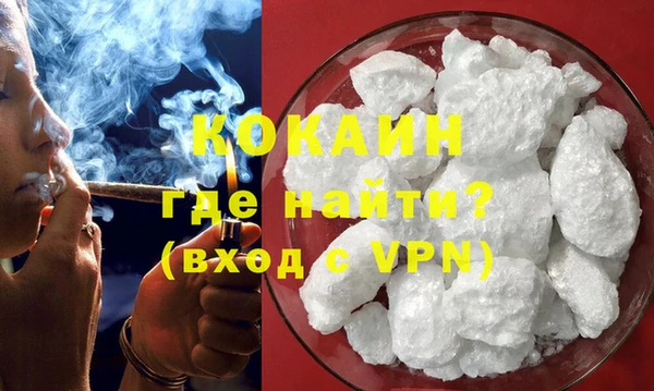 гашик Козловка