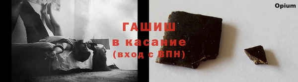 гашик Козловка