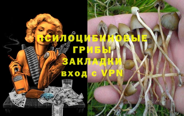 прущие крисы Корсаков