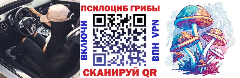 Купить где  Сергач  Псилоцибиновые грибы прущие грибы 