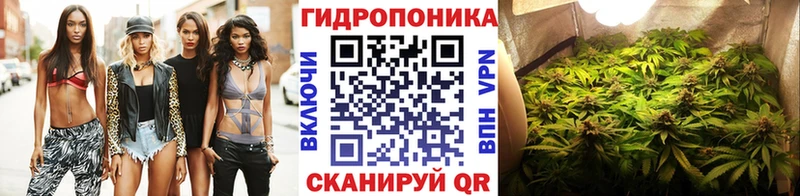 Купить закладки  Сергач  Марихуана SATIVA & INDICA 